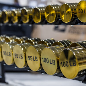 Simba Fitness Gold Dumbbells