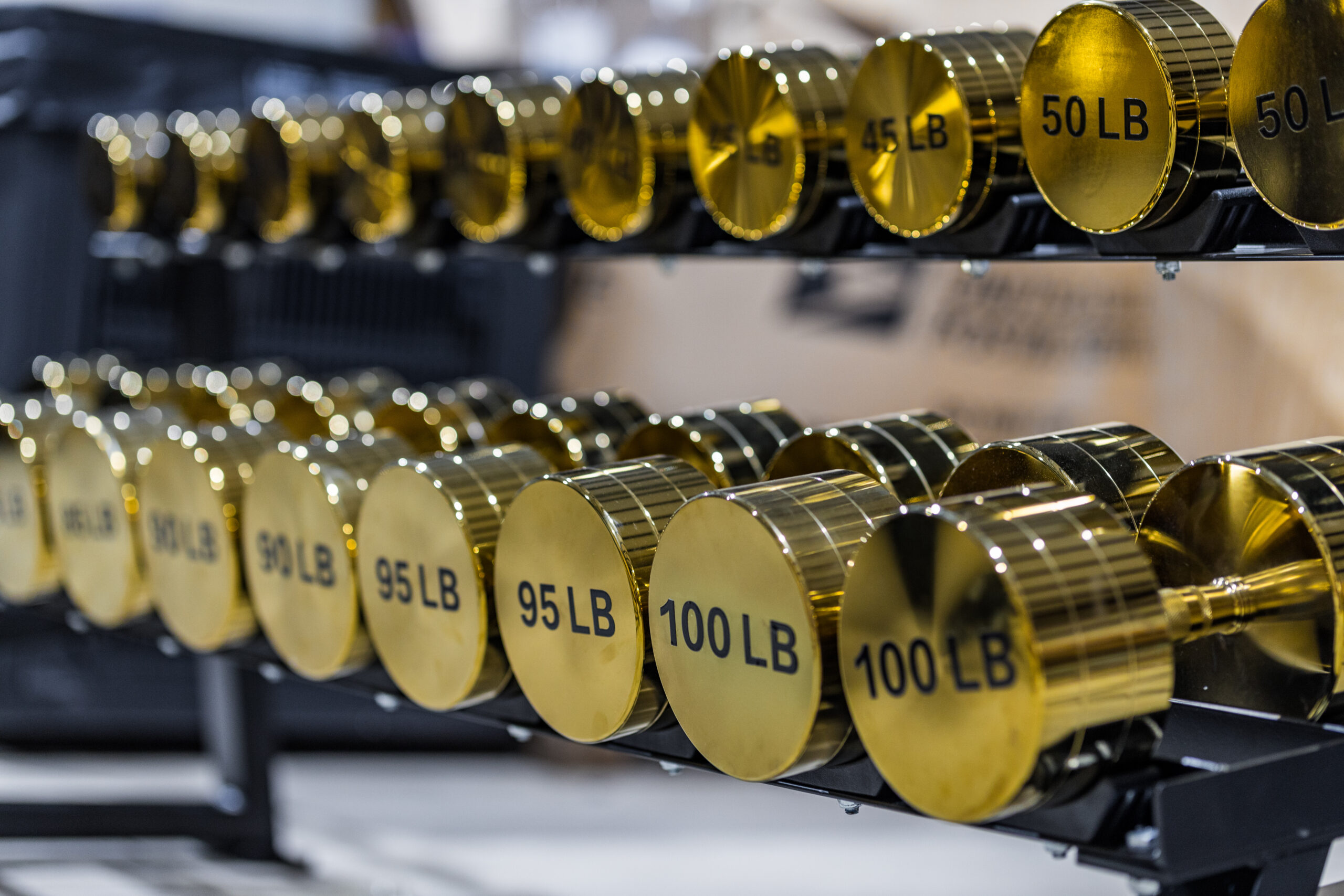 Simba Fitness Gold Dumbbells