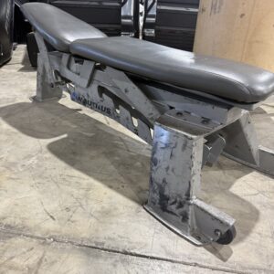 Nautilus Adjustable Bench