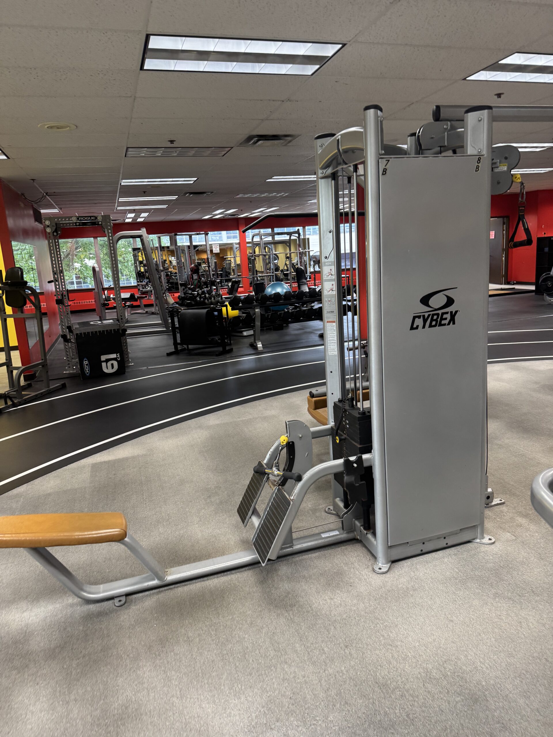 Cybex Circuit - Image 4